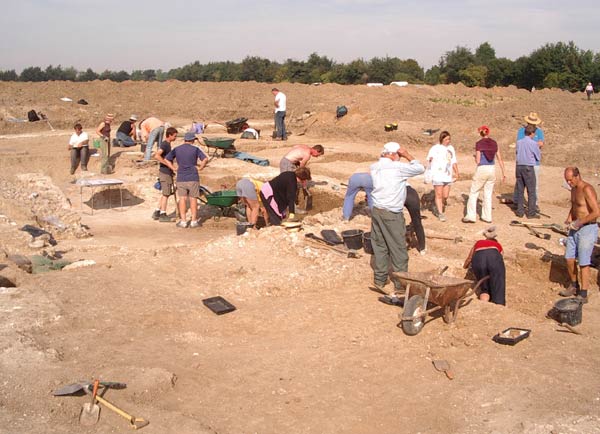 Abbey Farm Excavations 2003